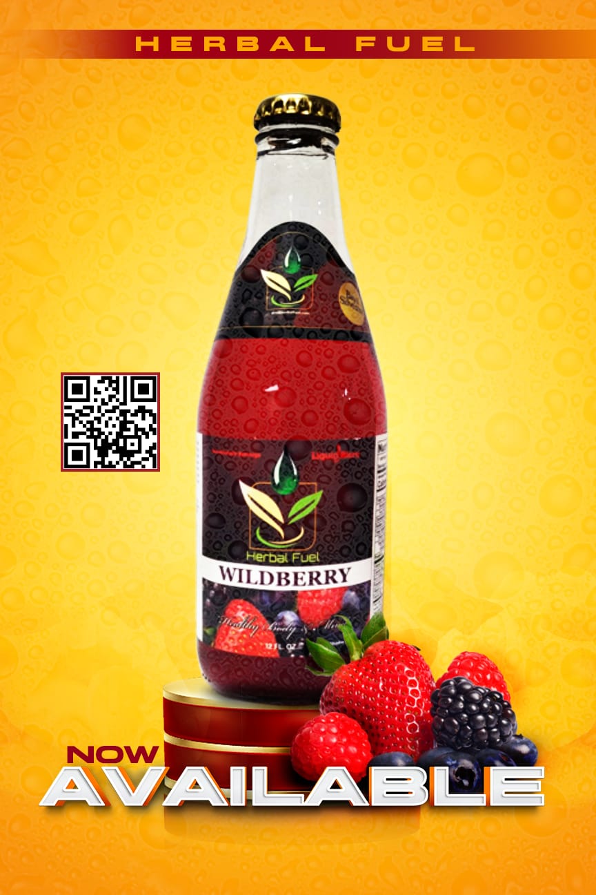 Wildberry Ginseng Energy Drink 12oz